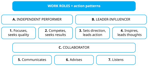 Work roles and action patterns